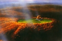 Lothlorien